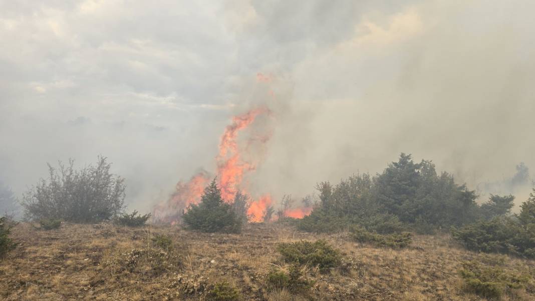 Konya Derbent’te orman yangını çıktı 20